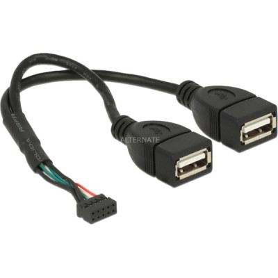USB-Adapter 10Pin Stecker > 2x USB-A 2.0 Buchse