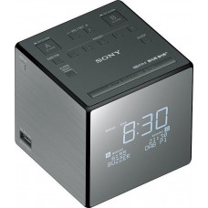 Sony XDR-C1DBP silver / black