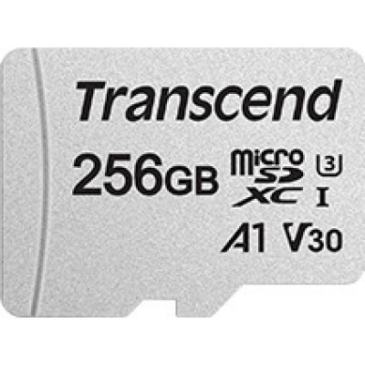 
      Transcend 300S microSDXC 256GB Class 10 U3 V30 A1
    