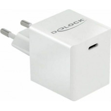 DeLock USB-C Wall Adapter Λευκό (41446 40W)